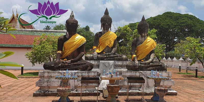 เที่ยวสุราษฎร์ธานี