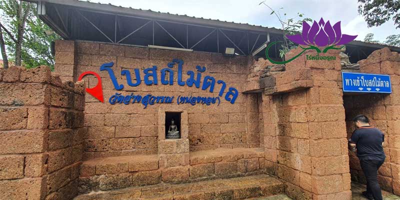 เที่ยวประจวบ